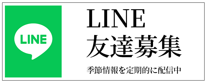LINE友達募集
