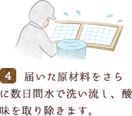 届いた原材料をさらに数日間水で洗い流し、酸味を取り除きます。