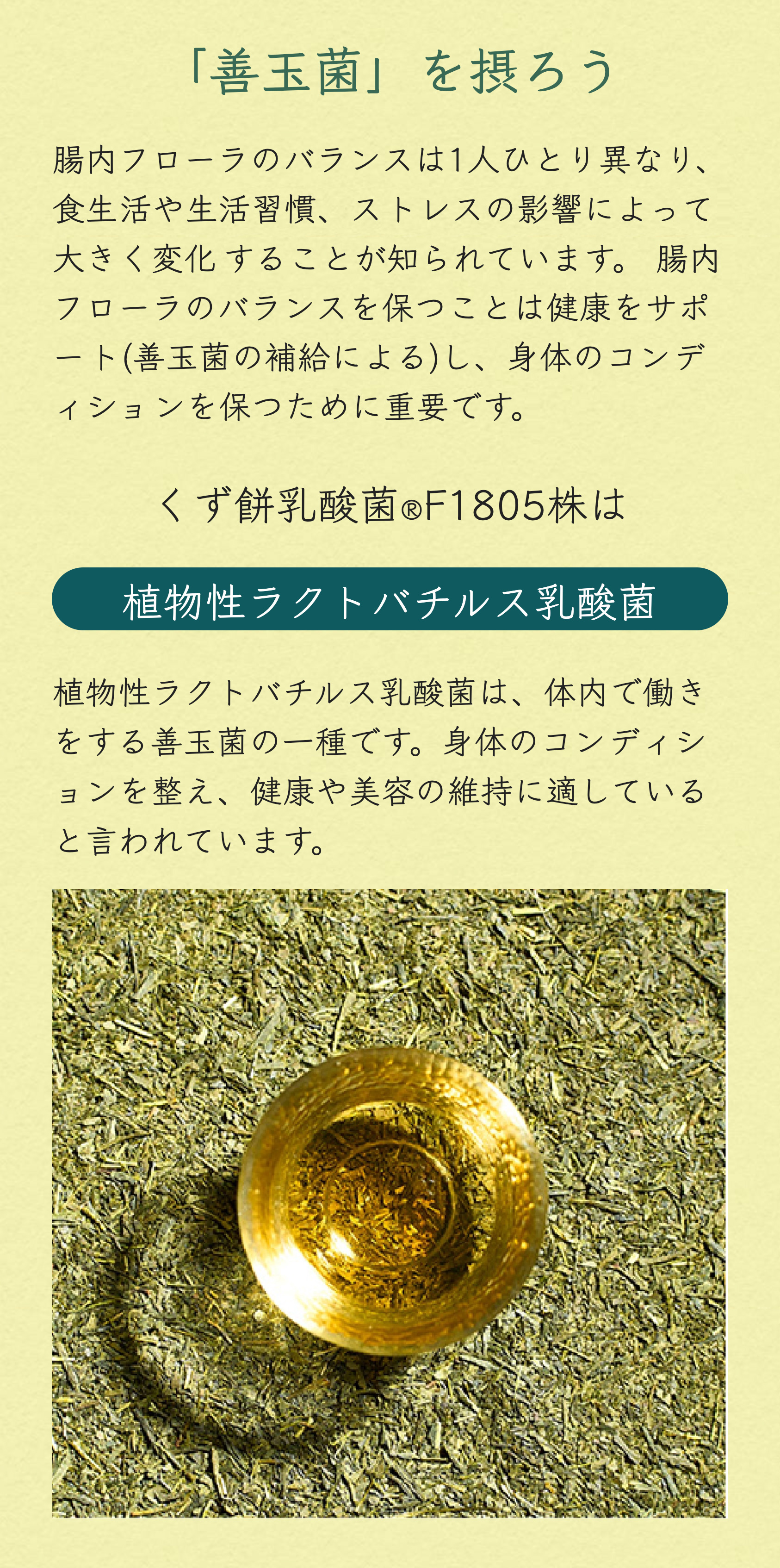 「善玉菌」を取ろう