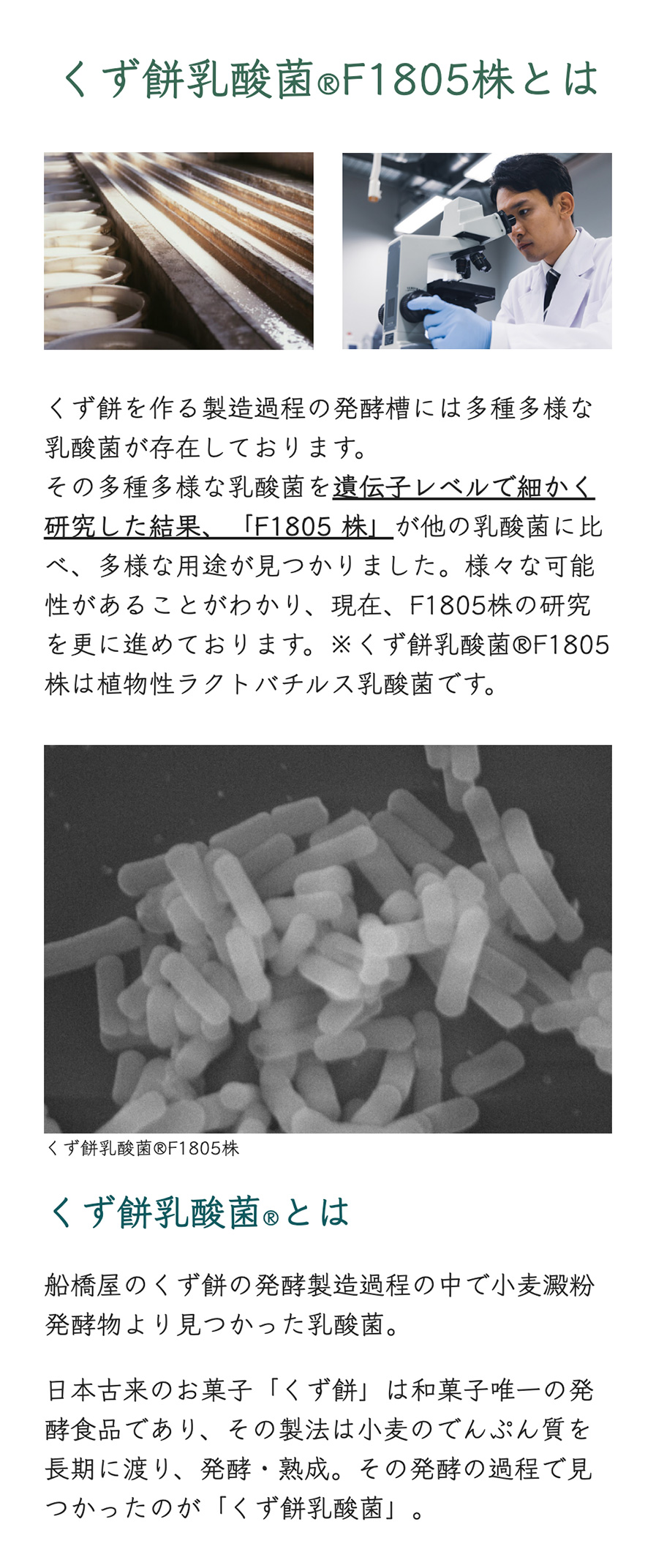 くず餅乳酸菌RF1805株とは